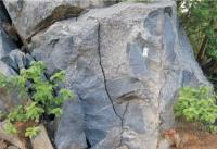 Evidência de mistura (coexistência)de magmas, denotadopela presença de granito porfirítico (rocha clara) associadoa diorito (rocha escura) no Granito Totoró (Nascimento &amp; Ferreira, 2012).