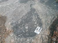 Enclave máfco inserido no granito porfrítico contendo fenocristais de K-feldspato capturados (Nascimento & Ferreira, 2012).