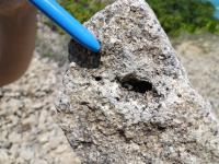 Amostra de mão de fragmento do Granito do Cabo, onde se observa cavidade miarolítica contendo cristais bem formados de quartzo e turmalina preta em seu interior. Foto: Marcos Nascimento.
