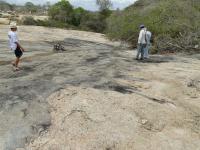 Afloramento com a mistura de magmas em meio a superfície de aplainamento dos Cariris Velhos, Planalto da Borborema. Foto: Rogério Valença Ferreira.