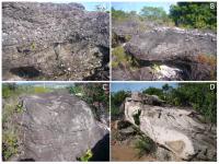 Conglomerados ricos em seixos de quartzo-leitoso da Formação Arai, base do Supergrupo Roraima. Encontram-se em associação aos depósitos auridiamantíferos aluvionares, explorados no século passado.