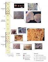 Perfil estratigráfico do afloramento Oiti, com tafofácies e fósseis. Fonte: Ponciano et al., 2014.