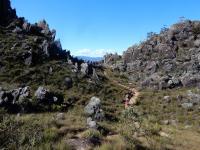 Aspecto geral da trilha para o Pico das Almas. Fonte José Tânus Cruz (2019)