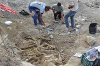 Escavação paleontológica