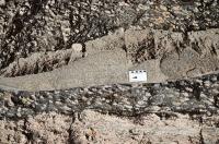 Diversos veios graníticos cortam o afloramento. Por vezes, os cristais de feldspato aparecem de forma bastabte desorganizada. Autor: Marcelo Ambrosio