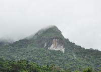 Pico da Pedra Branca visto no caminho para a cachoeira. Foto: M. Ambrosio