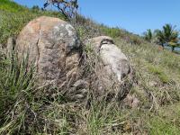 Blocos do granito mostrando alteração esferoidal, tipo casca de cebola. Foto: Rogério Valença Ferreira