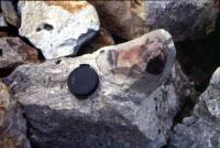 Fragmento decimétrico de riolito de textura fina presente no Ignimbrito do Engenho Saco, de fração bomba. Foto: Marcos Nascimento.