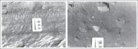 Figura 4 - a) Detalhe de um sulco glacial no topo da superfície do diamictito; e) Tilito típico com matriz quartzítica e fragmentos triangulares de rocha granítica (centro), pelítica (próxima a direita), quartzítica (centro-superior).