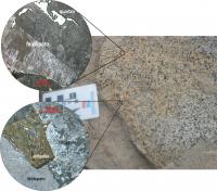 Fragmento de um bloco de granito encontrado nas paredes do Forte São Francisco Xavier. Os círculos são fotomicrografias de lâminas mostrando os principais minerais, feldspatos, quartzo e anfibólio, encontrados no granito. Figura: Marcos Nascimento.