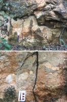 Fig. 3 - a) afloramento de calcário na frente de lavra abandonada; f) detalhe do calcário conglomerático da frente de lavra.