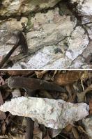 Fig. 4 - Rochas da caverna: a) afloramento de calcário maciço; b) amostra-de-mão de calcário com seixos de arenito grosseiro.
