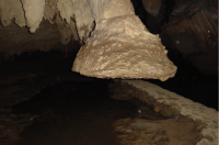 Pata do elefante, um dos atrativos que mais chamam a atenção dos visitantes da Caverna Santana