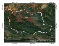 Figura 6 – Imagem de satélite com a delimitação da área do Parque Estadual do Itacolomi (Imagem obtida do Google Earth em 2021).