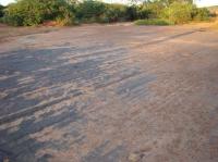 Vista parcial do pavimento estriado de Calembre, com seixos e blocos encravados no arenito da Formação Cabeças. Foto: Ponciano, 2008.