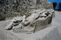 Fóssil de Uberabasuchus Terrificus durante as escavações em Setembro de 2000. (Fonte: Geoparques do Brasil - propostas - 2012)